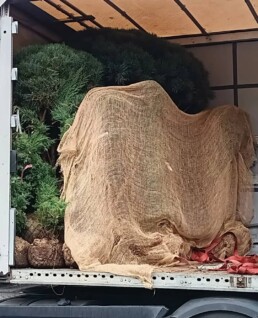 Gartengestaltung LKW
