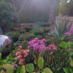 Gartengestaltung STIL leben LUTTER